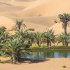 Your House Could Be the Oasis in an Inventory Desert